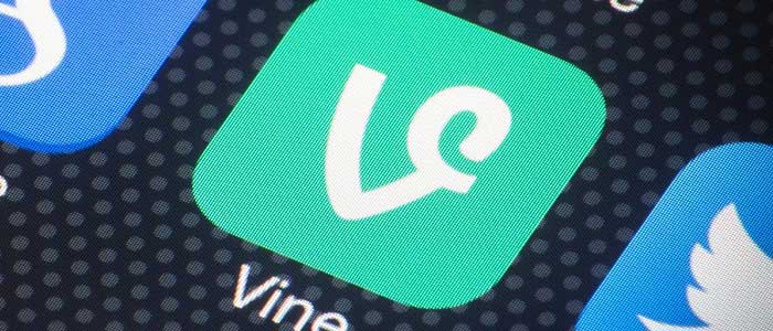 Vine Ne İşe Yarar?