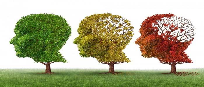 Alzheimer Nedir?