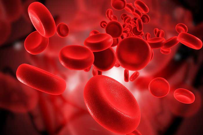 Kan Uyuşmazlığı Nedir? Önlemleri ve Tedavisi Nelerdir?