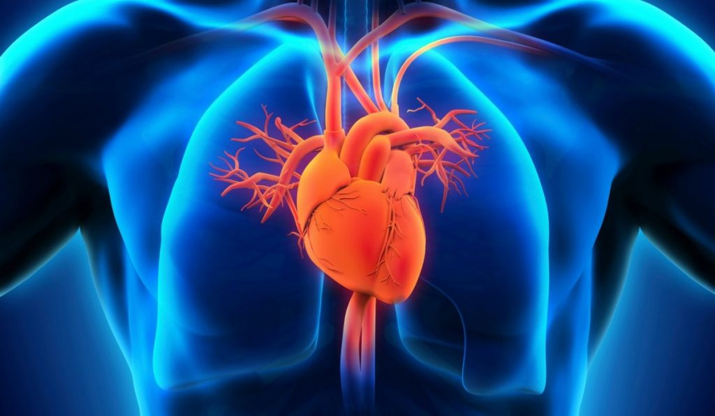 Açık Kalp Ameliyatı Nedir? Nasıl Yapılır? Riskleri Nelerdir?