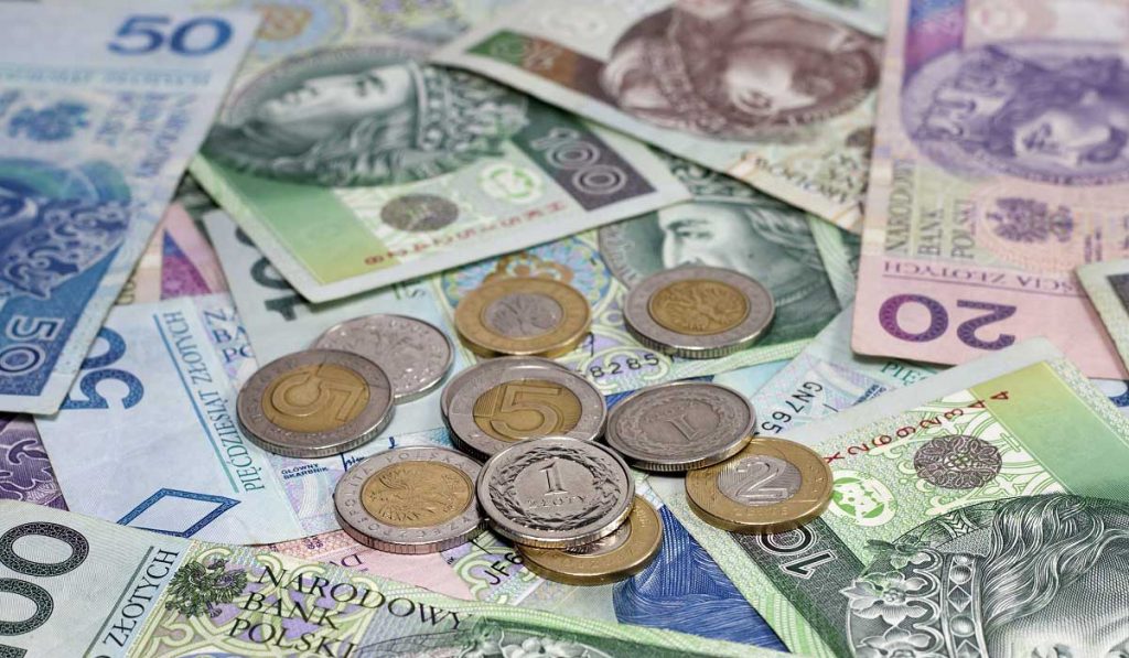 Polonya Para Birimi: Zloti Hakkında Bilgiler
