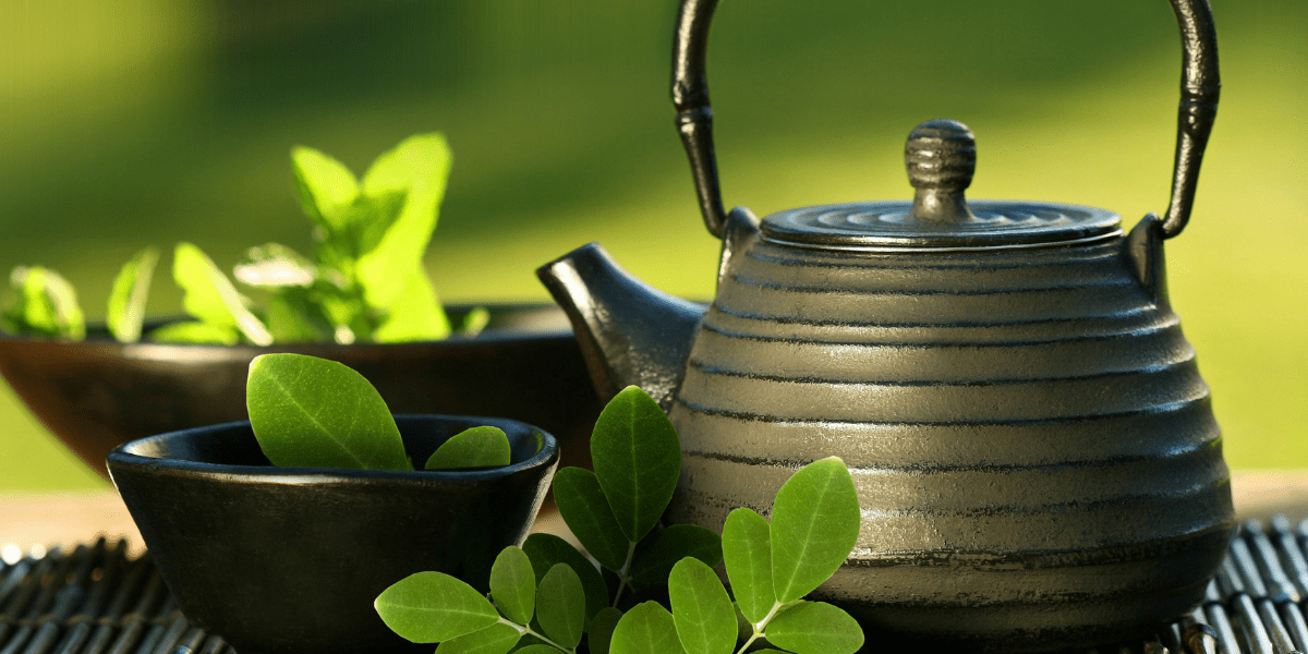 Moringa Çayı Nasıl Kullanılır?
